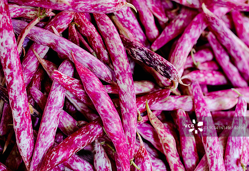 红豆豆荚特写。豆荚背景。从上方看。红豆背景特写图片素材