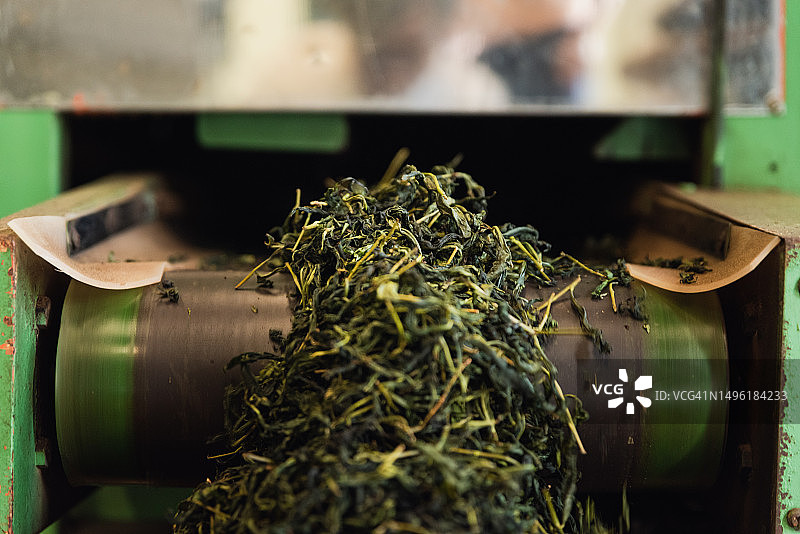 茶叶烘焙机特写图片素材