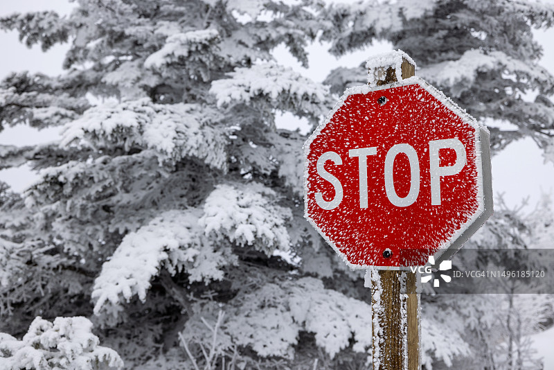 暴风雪中的停车标志图片素材