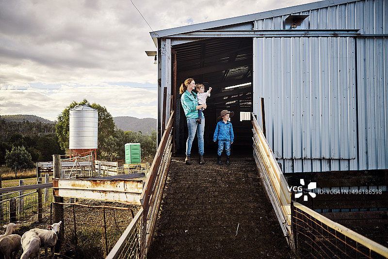塔斯马尼亚乡村生活图片素材
