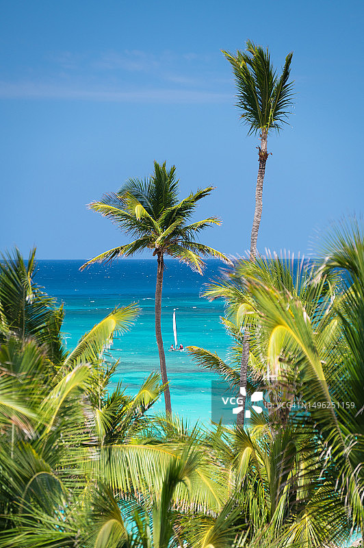 蓬塔卡纳，多米尼加共和国的美丽热带景色图片素材