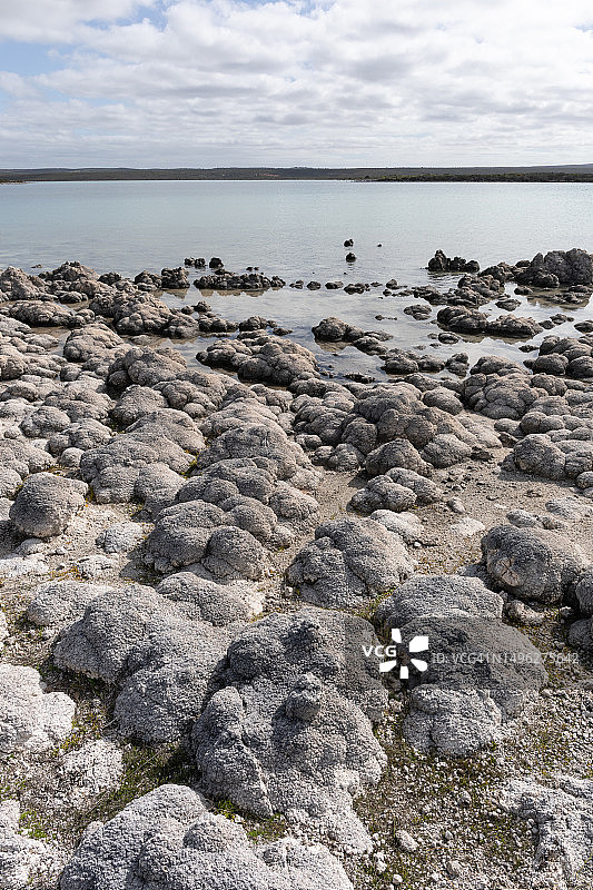 叠层石：仍在生长的微生物礁，拥有数十亿年历史，是世界上最古老的生物化石，位于南澳大利亚艾尔半岛的斯利福德梅尔永久盐湖图片素材