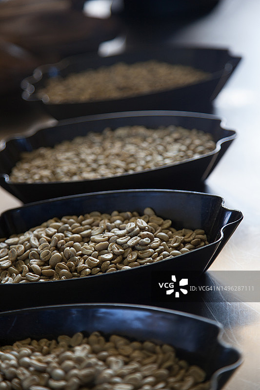 待烘焙的咖啡豆图片素材