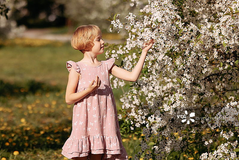 8岁的儿童穿着连衣裙站在花园里开花的苹果树旁图片素材