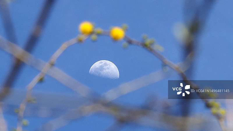 多样化的印象图片素材