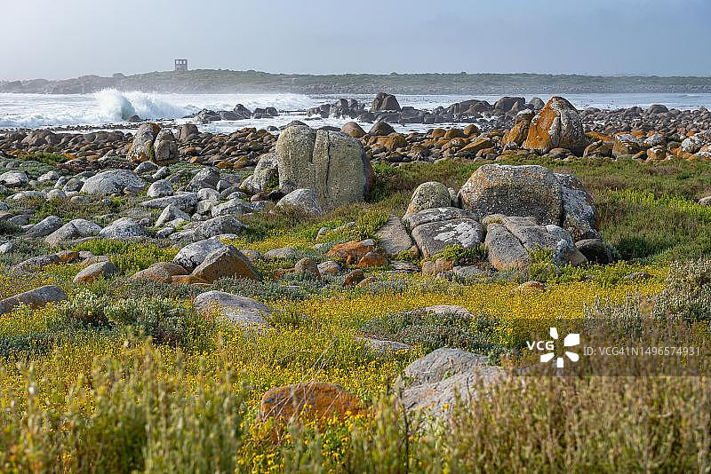 南非西开普省雅各布斯拜的毛里茨拜图片素材