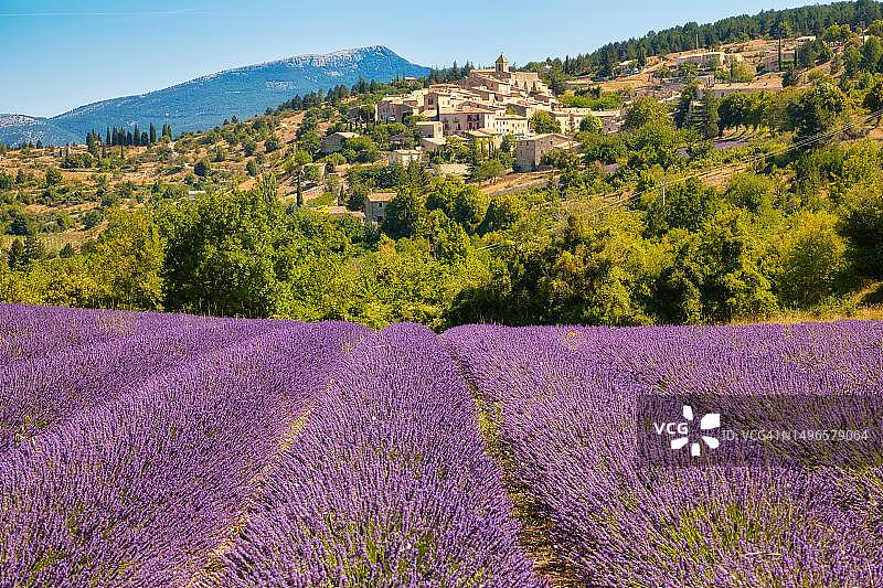 法国普罗旺斯阿尔卑斯蔚蓝海岸地区奥雷尔村的薰衣草田景色图片素材