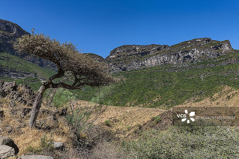 阿曼塞拉莱的绿色岩石悬崖图片素材