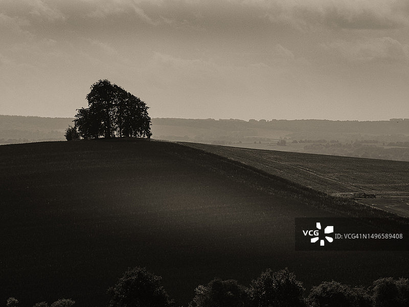 史前山坡与树丛图片素材