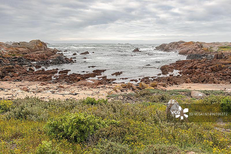 南非西开普省科伦拜恩角自然保护区的海岸图片素材
