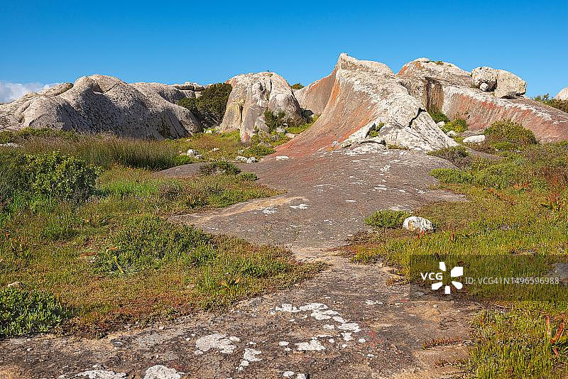 南非西海岸国家公园波斯特贝格区图片素材