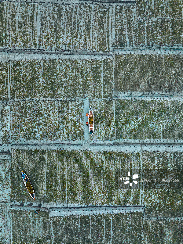 无人机拍摄的印度尼西亚巴厘岛Nusa Lembongan海藻养殖场上的船只图片素材