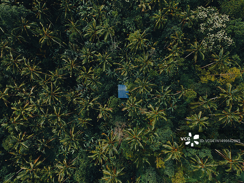 印度尼西亚巴厘岛雨林中的茅草屋（航拍）图片素材