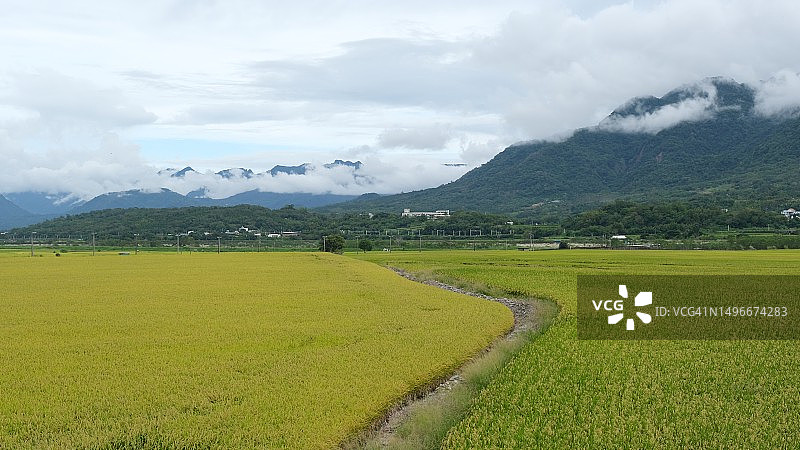 蓝天映衬下的农田美景图片素材