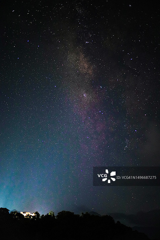 印度马哈拉施特拉邦纳西克区星空下树木剪影仰视图片素材