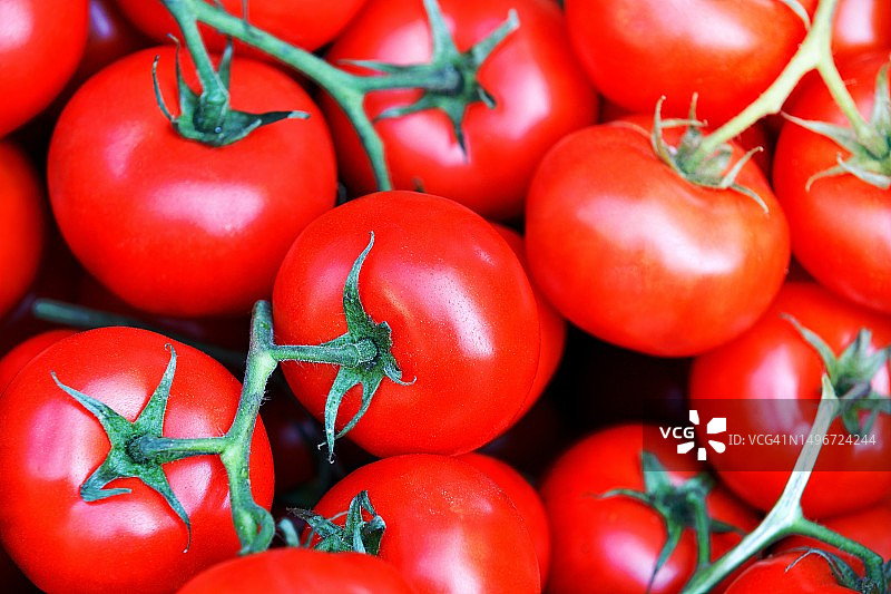 圣女果全画幅照片图片素材