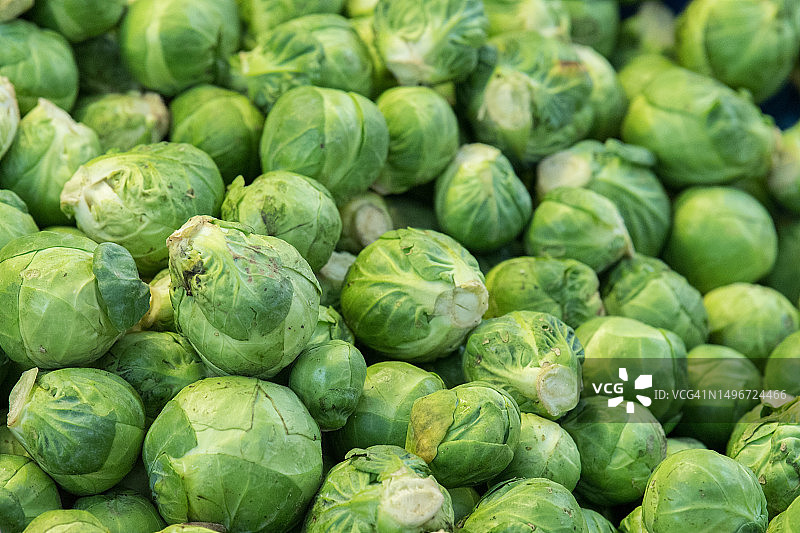 市场上出售的卷心菜特写图片素材