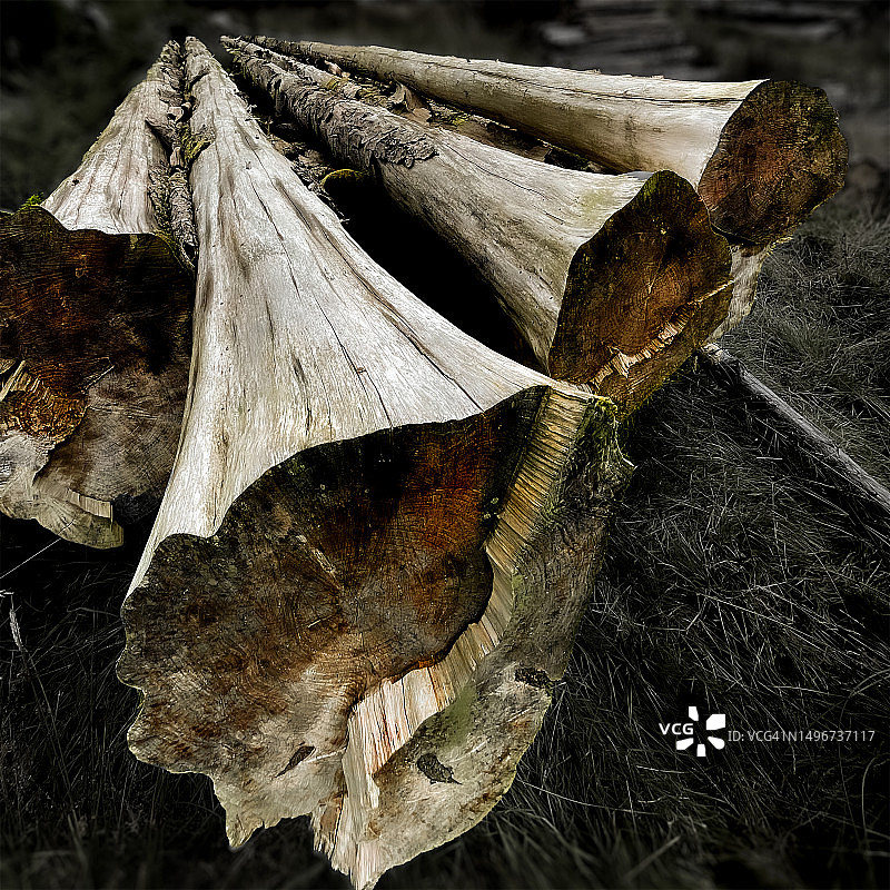 切割木材的醒目角度图片素材