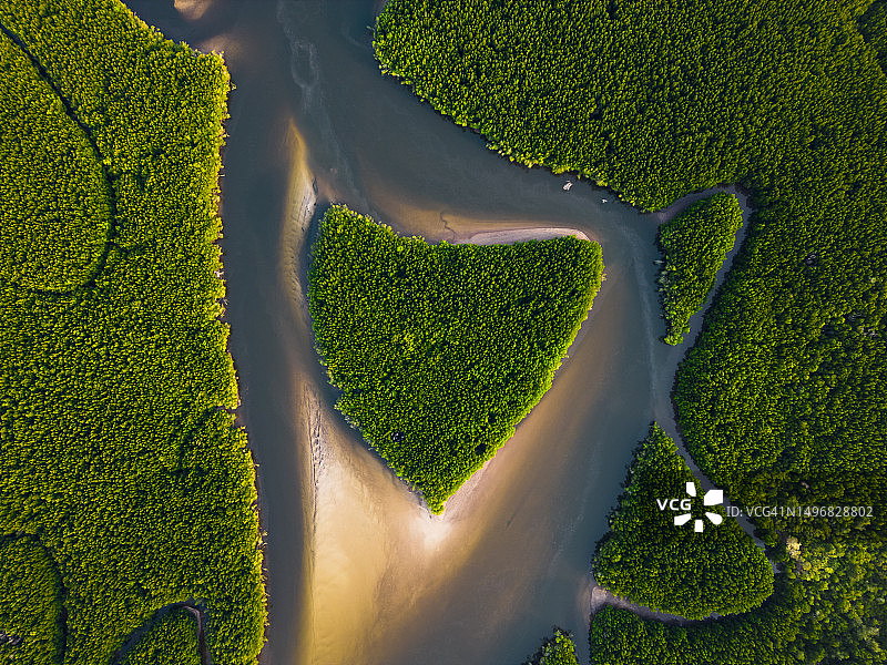 泰国董里府红树林心形景观鸟瞰图图片素材