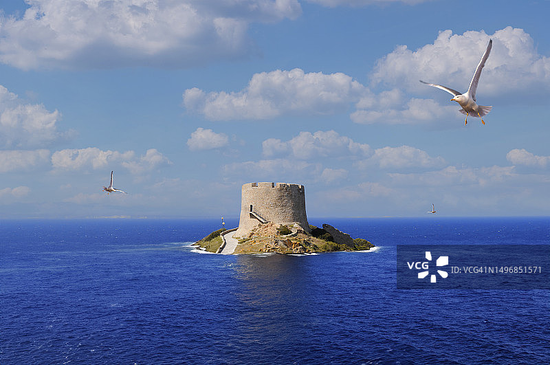 海鸥与龙格萨尔多塔图片素材