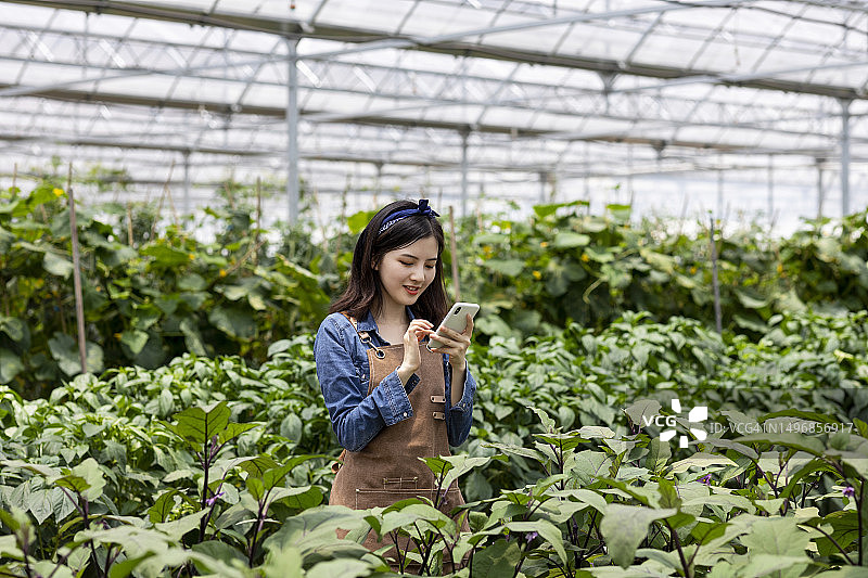 在温室里观察作物生长的亚洲年轻农民图片素材