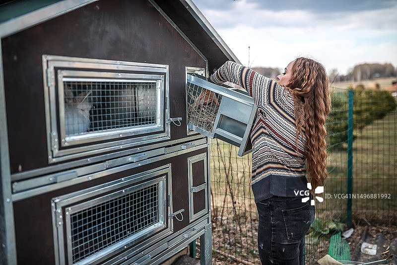 兔子福利与营养：中年妇女在专用笼子里照顾兔子的饮食需求图片素材
