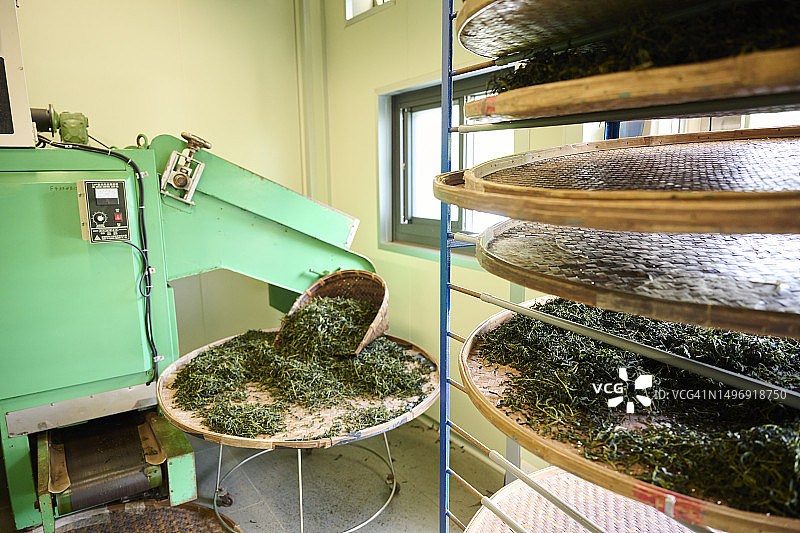 竹篮中晾晒茶叶图片素材