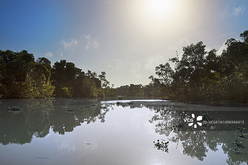 委内瑞拉奥里诺科河三角洲的河流远景图片素材