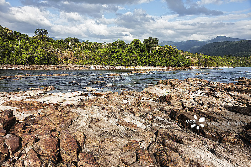 委内瑞拉卡奈马国家公园，卡劳河畔的森林图片素材