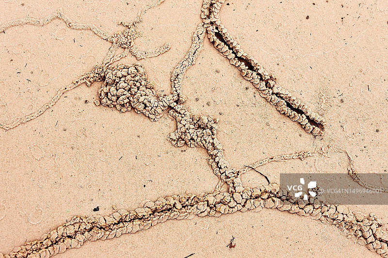 委内瑞拉卡奈马国家公园海滩上的脚印图片素材