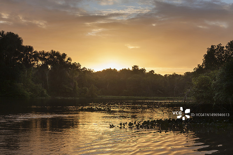 奥里诺科河日出美景，委内瑞拉奥里诺科三角洲图片素材