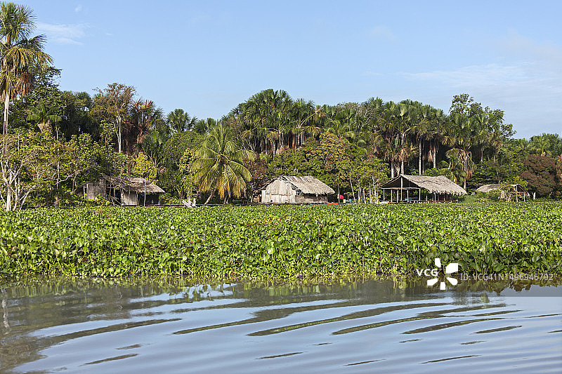 委内瑞拉奥里诺科三角洲河边的瓦劳印第安房屋图片素材