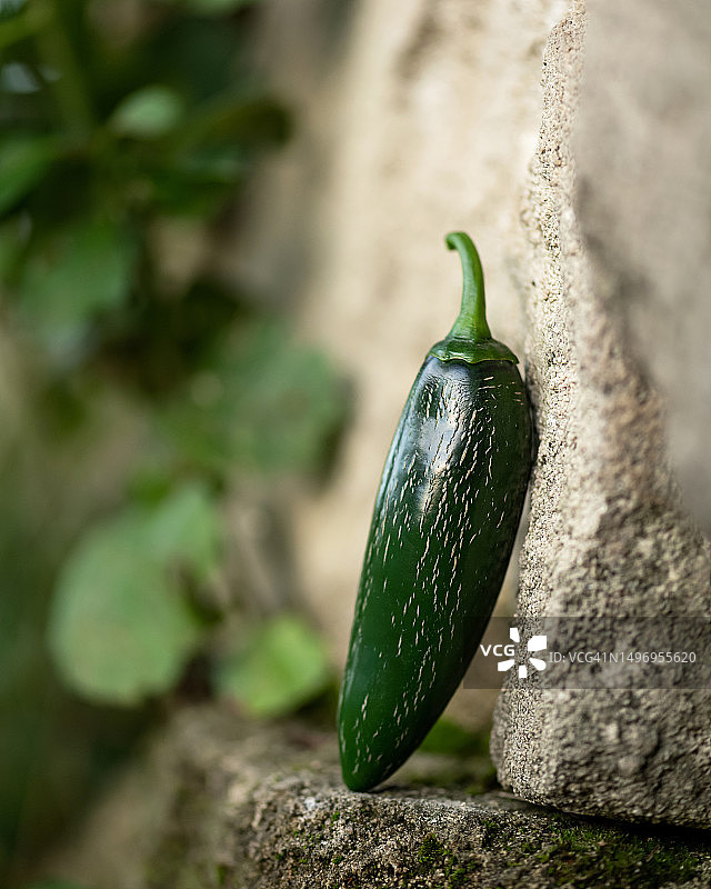 石材上的绿色墨西哥辣椒，特写图片素材