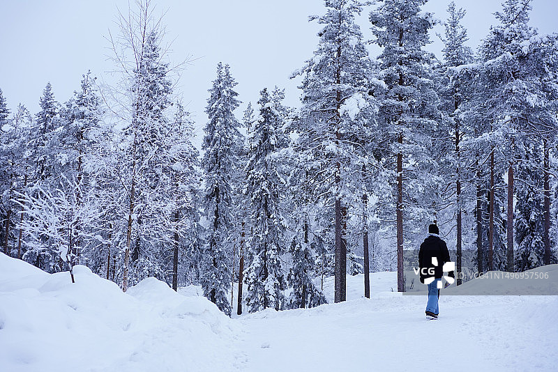 芬兰罗瓦涅米在白雪覆盖的田野上行走的男子背影图片素材