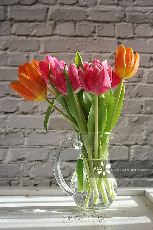 克罗地亚萨格勒布，桌子上花瓶中的郁金香特写图片素材