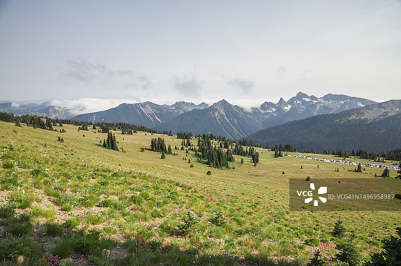 美国华盛顿州雷尼尔山国家公园的田野风光图片素材