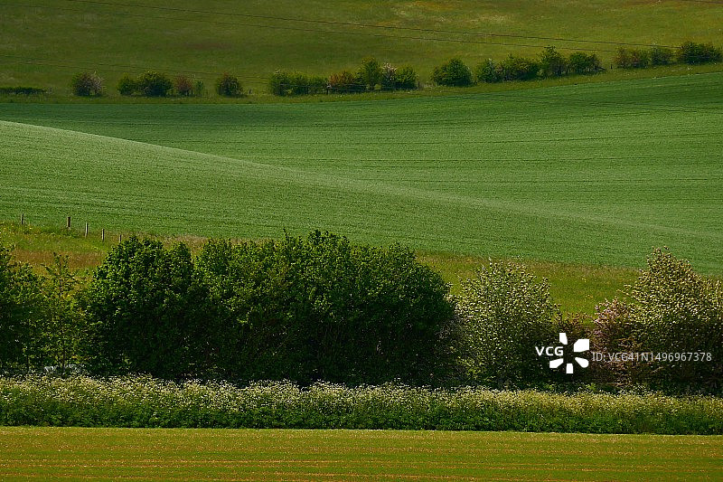 海威科姆田野风光（英国）图片素材