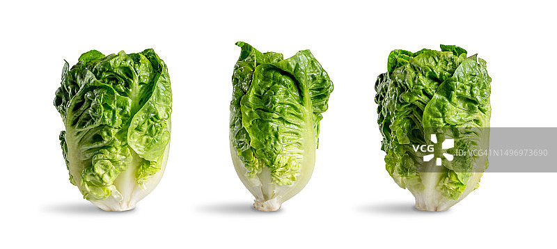 西班牙巴塞罗那白色背景下的生菜特写图片素材
