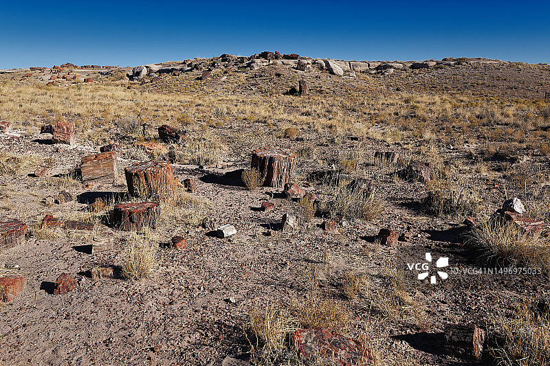 亚利桑那州霍尔布鲁克沙漠的壮丽景色图片素材