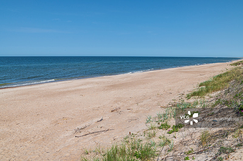 阳光明媚的空沙滩图片素材