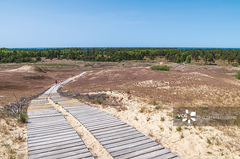 沙丘区域上的木板图片素材