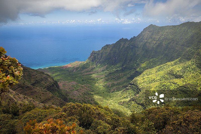 卡拉劳山谷位于夏威夷州可爱岛西北侧图片素材
