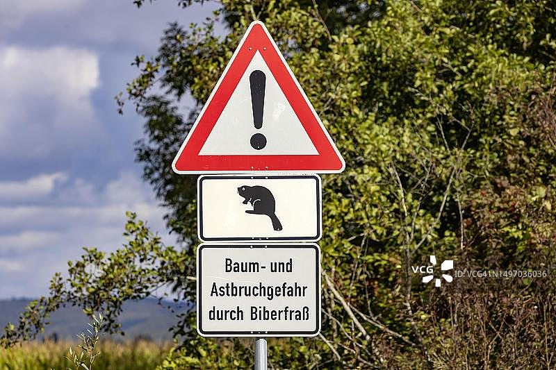 来自断枝和倒下的树木的危险，交通标志警告海狸，德国巴登-符腾堡州拉多夫采尔图片素材