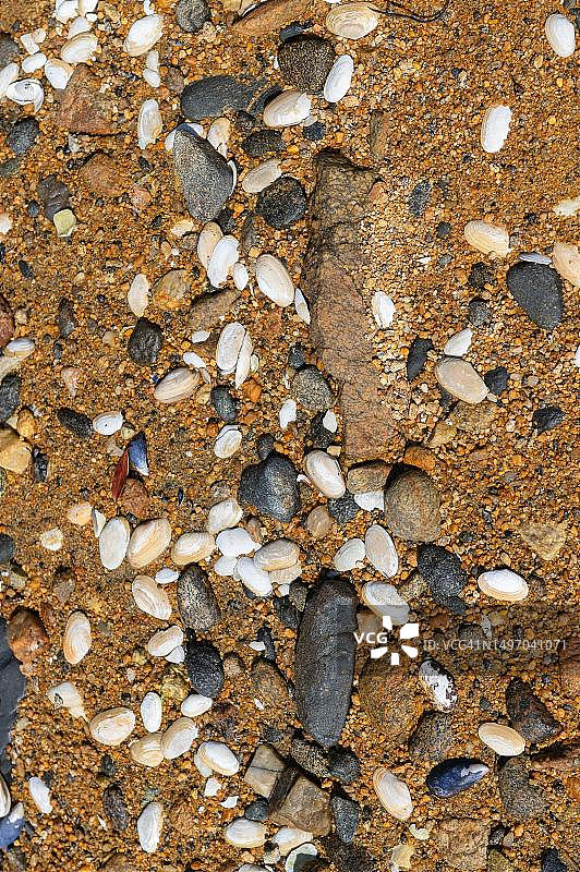 新西兰南岛乌尔瓦岛韦斯特恩德海滩图片素材