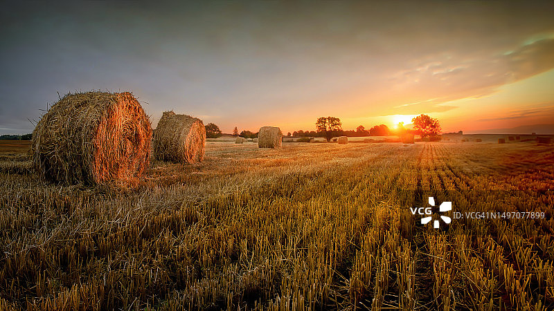 干草捆图片素材