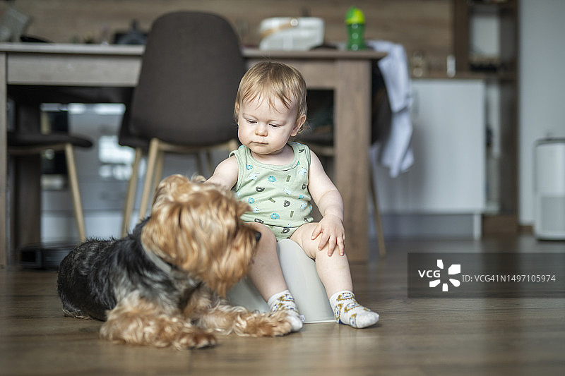 在训练便盆上和狗狗一起玩的男宝宝图片素材