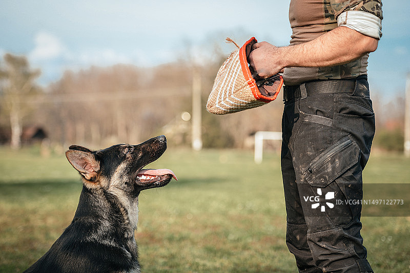 训练有素的警犬抓住强盗的手图片素材
