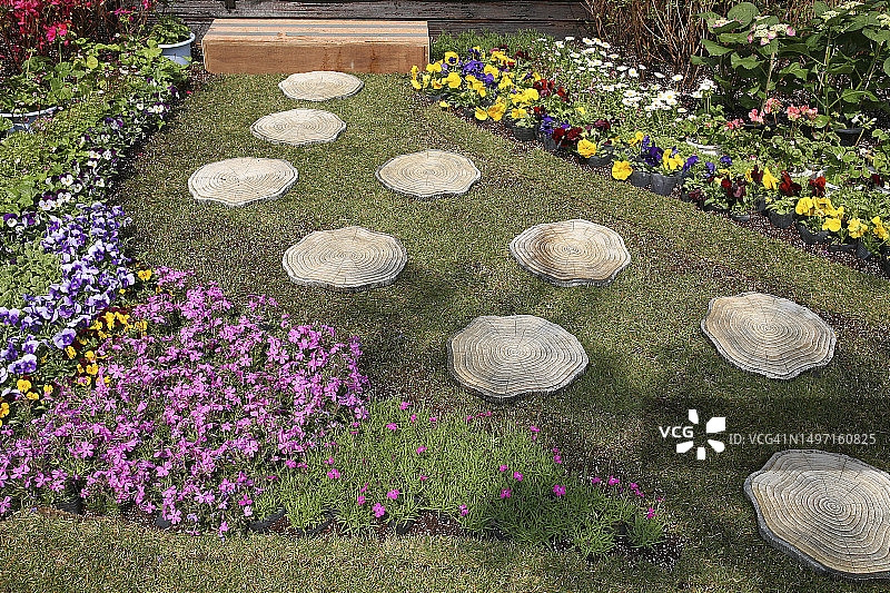 三色堇花园图片素材