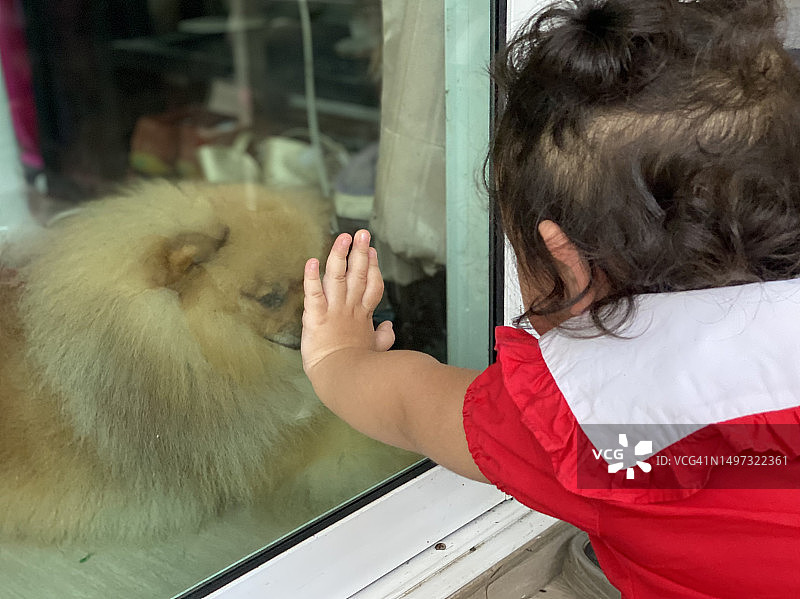亚洲小女孩和博美犬玩耍图片素材