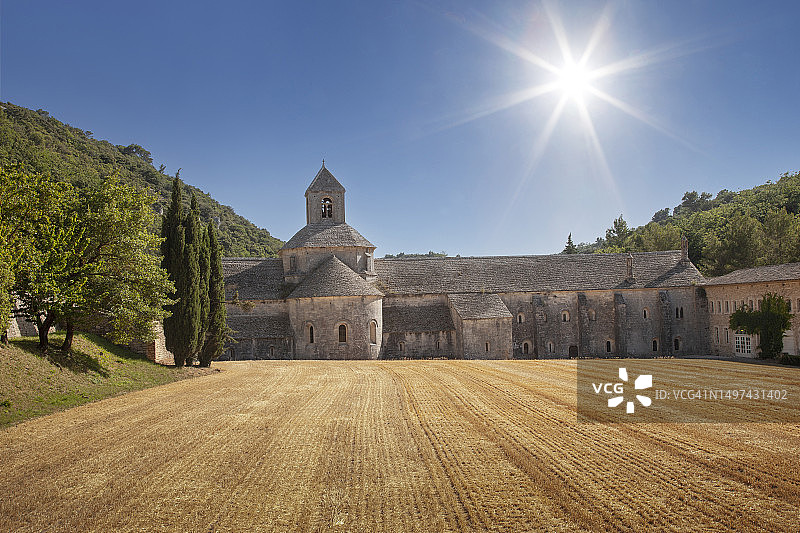 玉米地中的教堂图片素材